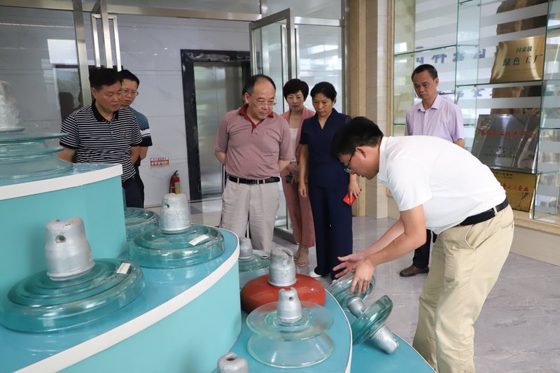 洪光星来到芦溪县调研